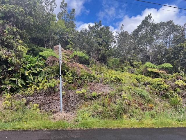 Nahelenani St, Volcano, HI 96785 - photo 1