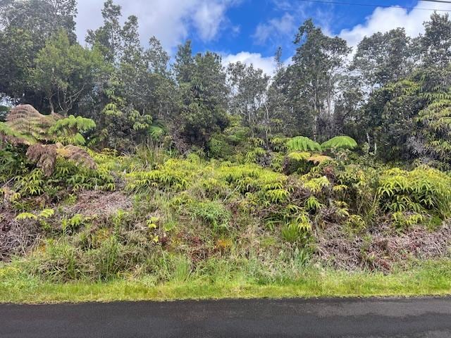 Nahelenani St, Volcano, HI 96785 - photo 2