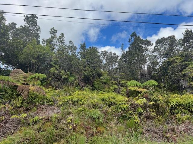 Nahelenani St, Volcano, HI 96785 - photo 3