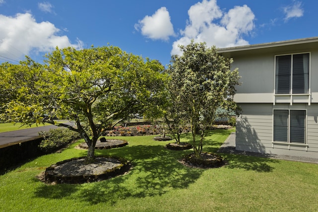 114 Kupaa St, Hilo, HI 96720 - view of green lawn