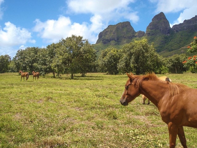 1 Hui Rd Unit 1, Anahola, HI 96746 - photo 11