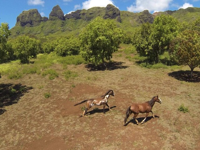 1 Hui Rd Unit 1, Anahola, HI 96746 - photo 12