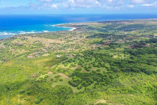 1 Hui Rd Unit 1, Anahola, HI 96746 - photo 10