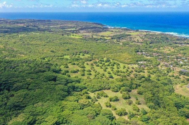 1 Hui Rd Unit 1, Anahola, HI 96746 - photo 9