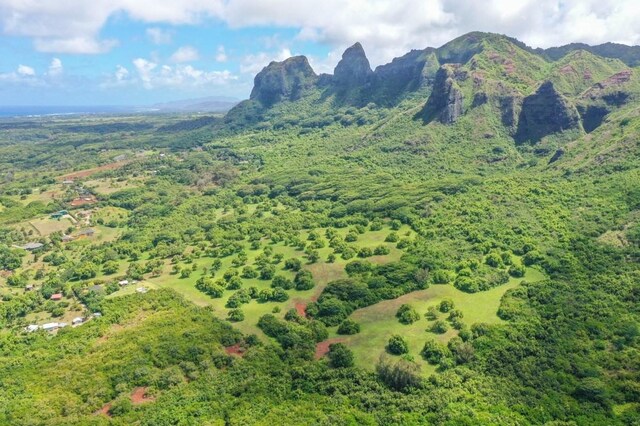 1 Hui Rd Unit 1, Anahola, HI 96746 - photo 8