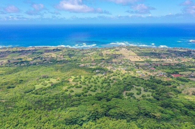1 Hui Rd Unit 1, Anahola, HI 96746 - photo 7