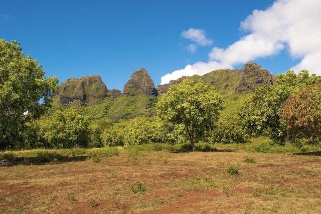 1 Hui Rd Unit 1, Anahola, HI 96746 - photo 5