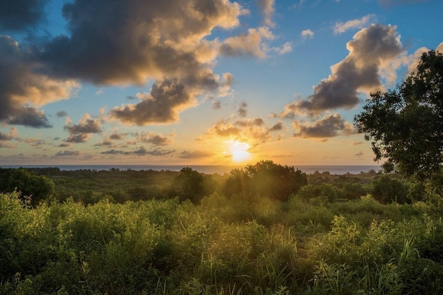 1 Hui Rd Unit 1, Anahola, HI 96746 - photo 4
