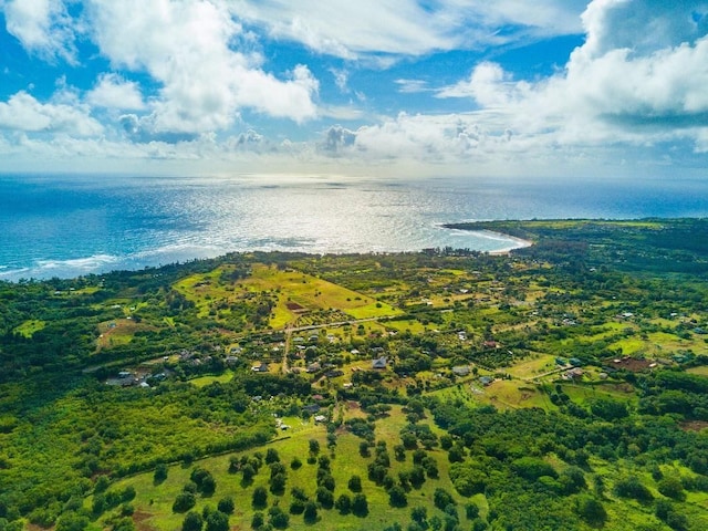 1 Hui Rd Unit 1, Anahola, HI 96746 - photo 3