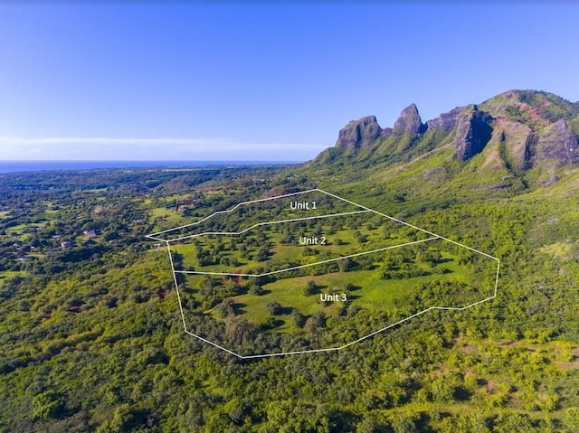 1 Hui Rd Unit 1, Anahola, HI 96746 - photo 1