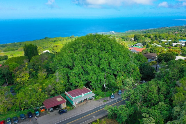 79-7288 Hawaii Belt Rd, Kealakekua, HI 96750