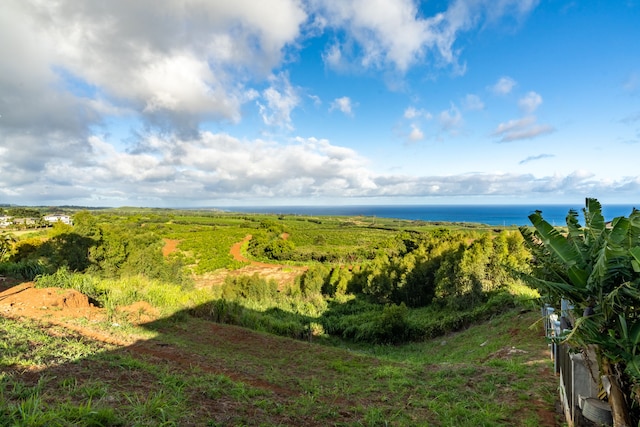Kaena St, Kalaheo, HI 96741