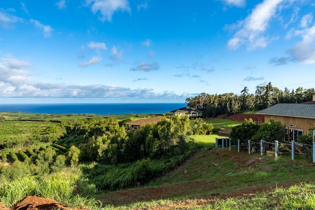 Kaena St, Kalaheo, HI 96741