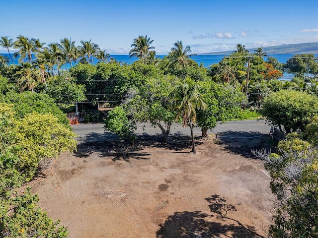 69-1819 Puako Beach Dr, Kamuela, HI 96743 - photo 3