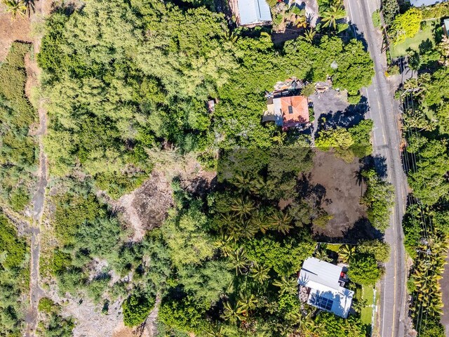 69-1819 Puako Beach Dr, Kamuela, HI 96743 - photo 11