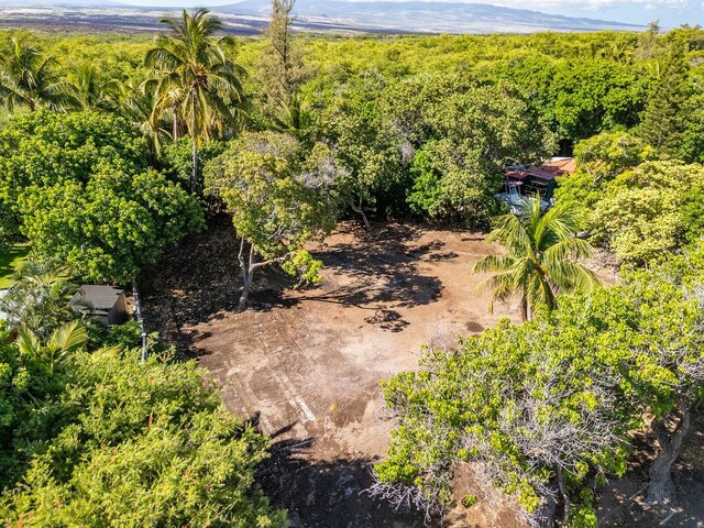 69-1819 Puako Beach Dr, Kamuela, HI 96743 - photo 19
