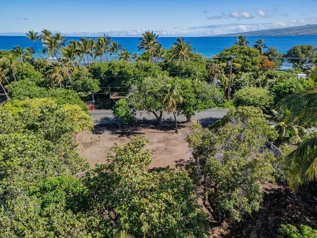 69-1819 Puako Beach Dr, Kamuela, HI 96743 - photo 21
