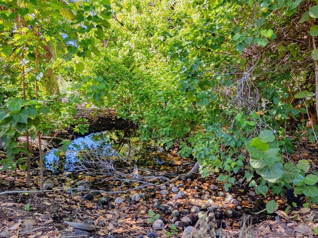 69-1819 Puako Beach Dr, Kamuela, HI 96743 - photo 23