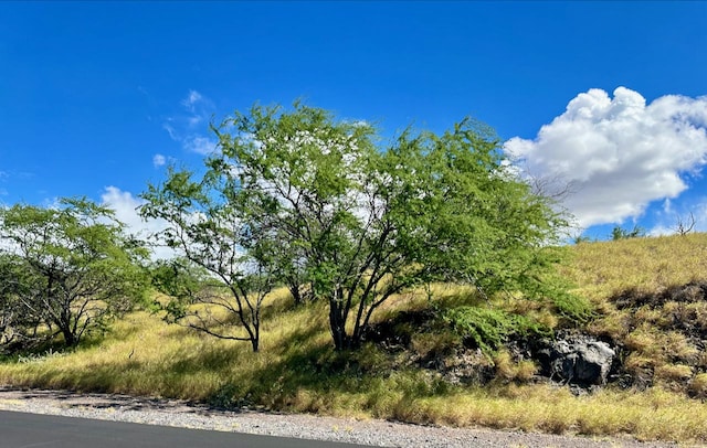 Olomana Rd, Kamuela, HI 96743