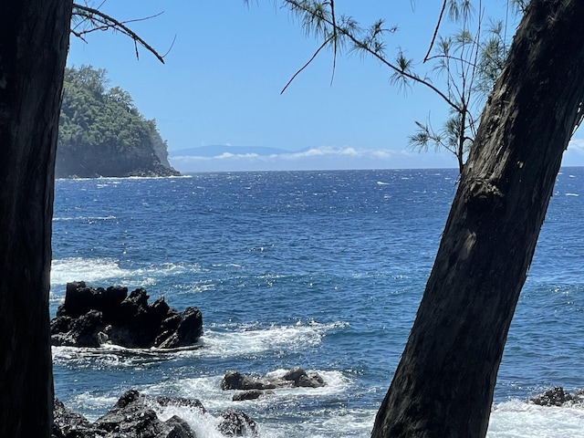 36-1070 Laupahoehoe Point Rd, Laupahoehoe, HI 96764