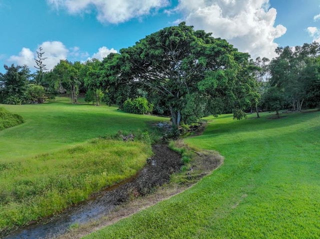 6573-E Puupilo Rd, Kapaa, HI 96746 - view of green lawn with view of scattered trees and golf course view