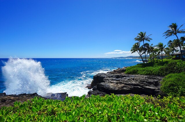1661 Pee Rd Unit 4105, Koloa, HI 96756 - water view