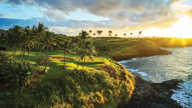 3770 Alaoli Way Unit 1002, Hokuala, HI 96766 - water view featuring a golf club