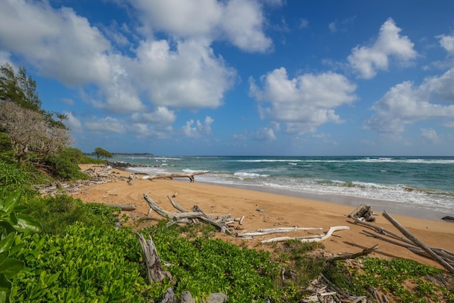 4460 Nehe Rd Unit 203, Lihue, HI 96766 - water view featuring nearby beach