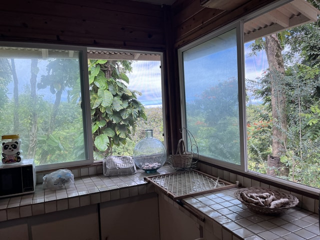 28-1712 Homomu Rd Unit 3, Honomu, HI 96728 - sunroom / solarium with plenty of natural light and wooden walls