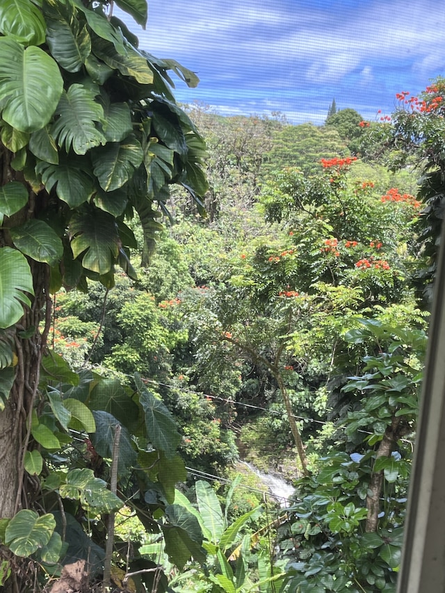 28-1712 Homomu Rd Unit 3, Honomu, HI 96728 - view of undeveloped land