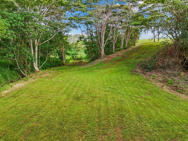 Unit 13C, Kapaa, HI 96746 - photo 10