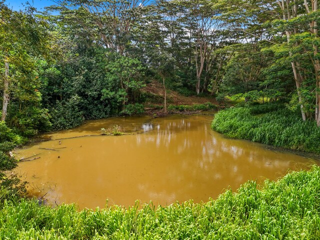 Unit 13C, Kapaa, HI 96746 - photo 13