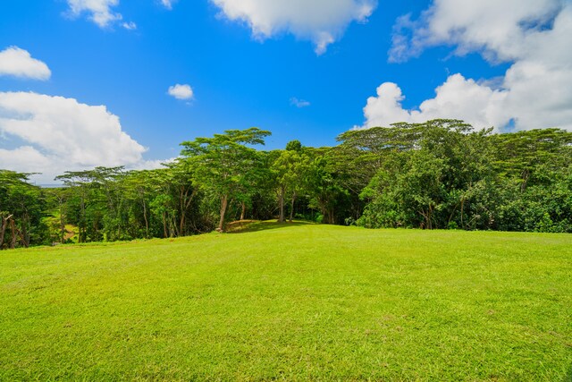 Unit 13C, Kapaa, HI 96746 - photo 6