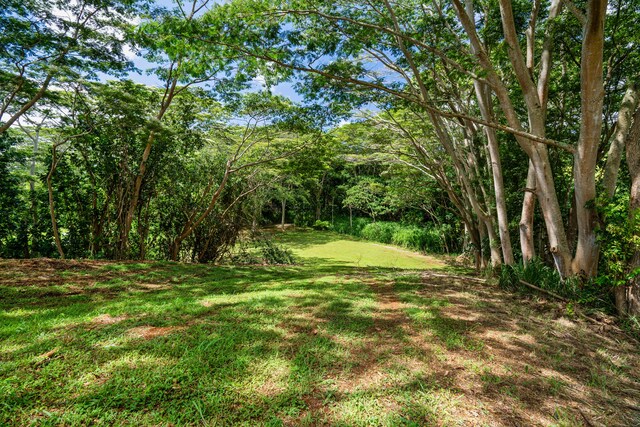 Unit 13C, Kapaa, HI 96746 - photo 8