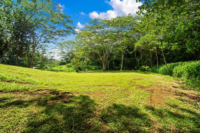 Unit 13C, Kapaa, HI 96746 - photo 9