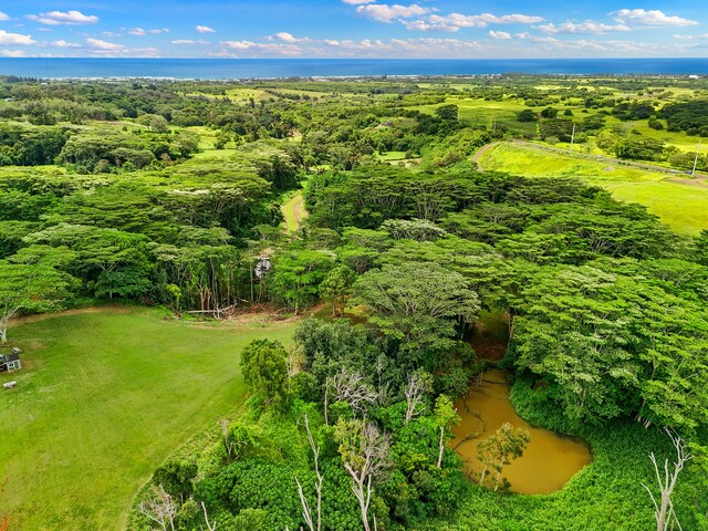 Unit 13C, Kapaa, HI 96746 - photo 7