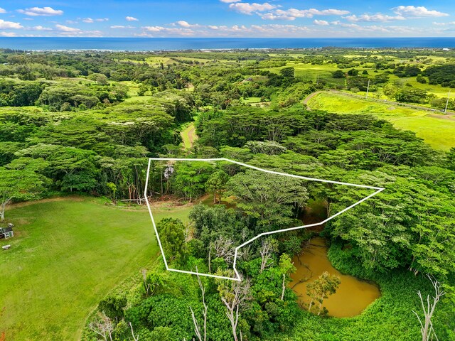 Unit 13C, Kapaa, HI 96746 - photo 3