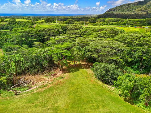 Unit 13C, Kapaa, HI 96746 - photo 15