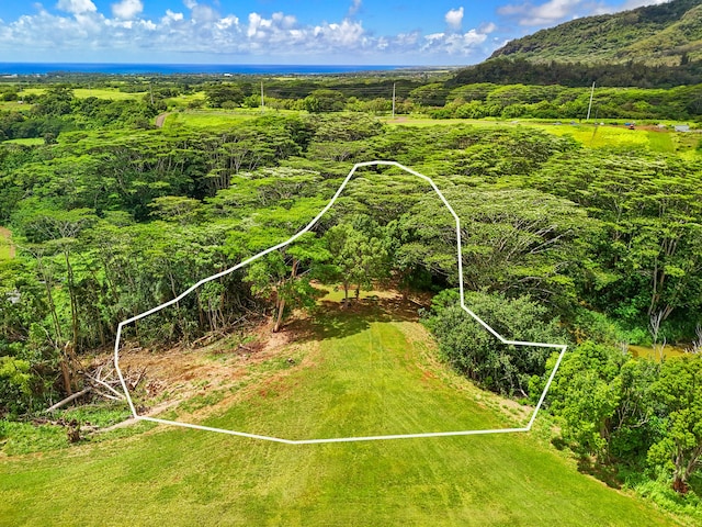 Unit 13C, Kapaa, HI 96746 - photo 1