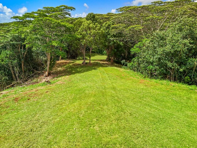 Unit 13C, Kapaa, HI 96746 - photo 14