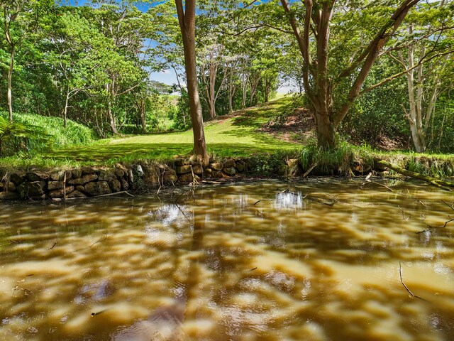 Unit 13C, Kapaa, HI 96746 - photo 11