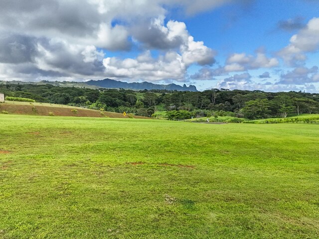 Unit 13C, Kapaa, HI 96746 - photo 5