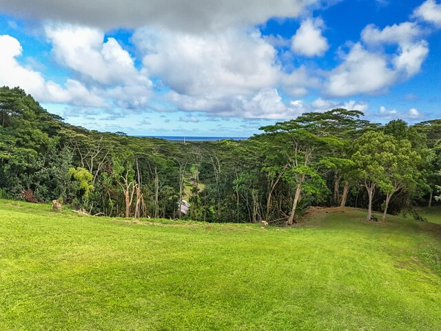 Unit 13C, Kapaa, HI 96746 - photo 16