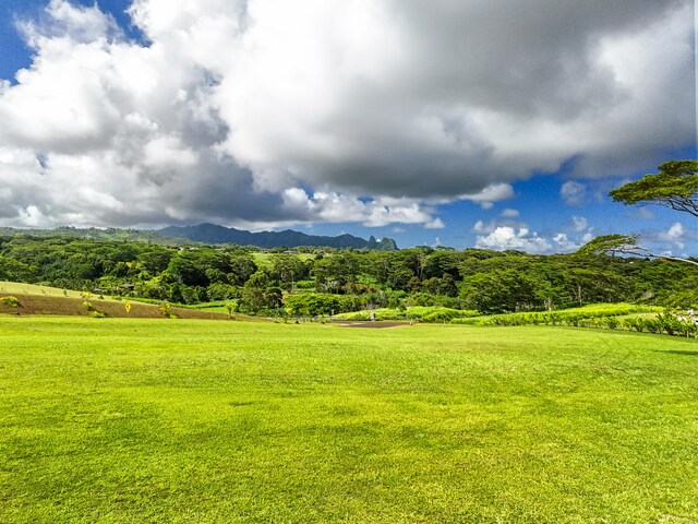 Unit 13C, Kapaa, HI 96746 - photo 18