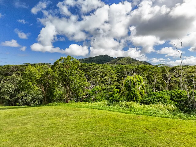 Unit 13C, Kapaa, HI 96746 - photo 19