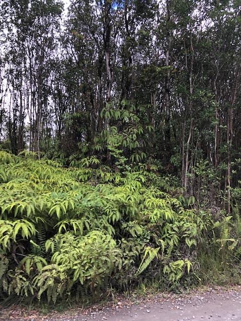 Kokokahi Rd, Volcano, HI 96785