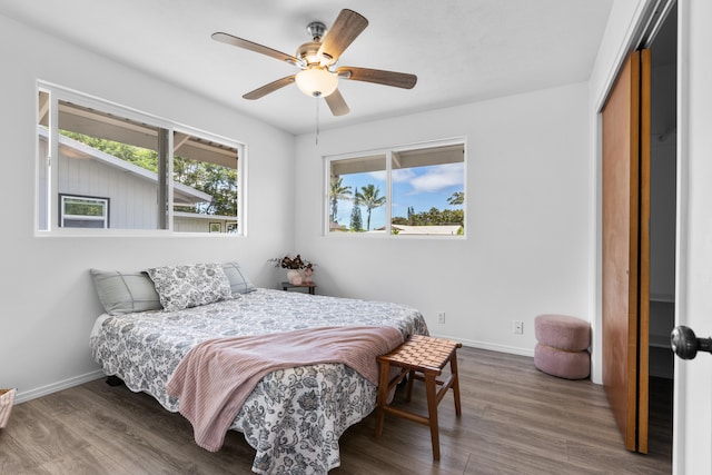 16-2059 Lauhala Dr, Pahoa, HI 96778 - photo 7