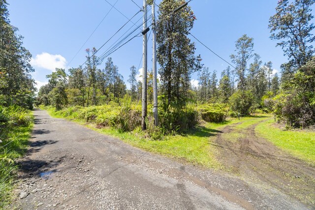 16-1366 Ao Rd, Mountain View, HI 96771 - view of dirt / gravel road