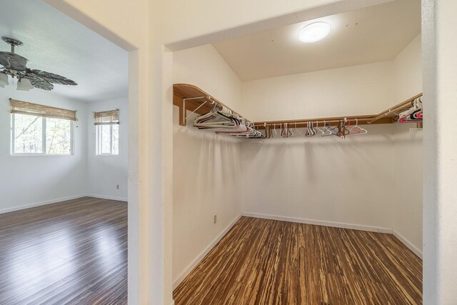 16-1366 Ao Rd, Mountain View, HI 96771 - spacious closet featuring wood finished floors and ceiling fan