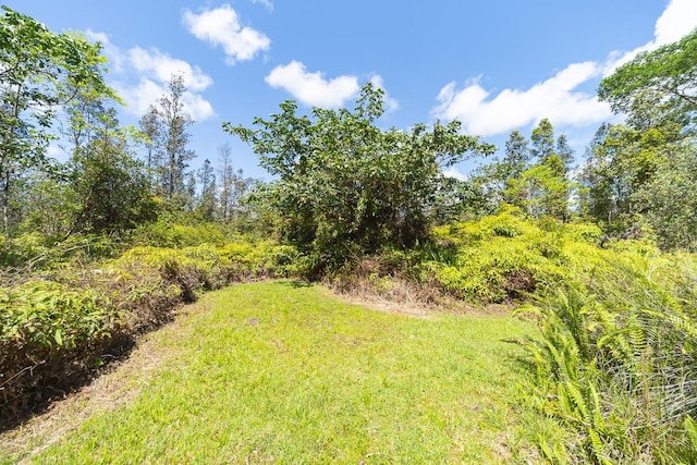16-1366 Ao Rd, Mountain View, HI 96771 - view of yard featuring a forest view